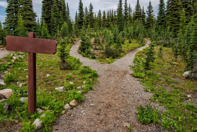 Two Doors, One Career: Choosing Between MSP Life and the Corporate IT Desk